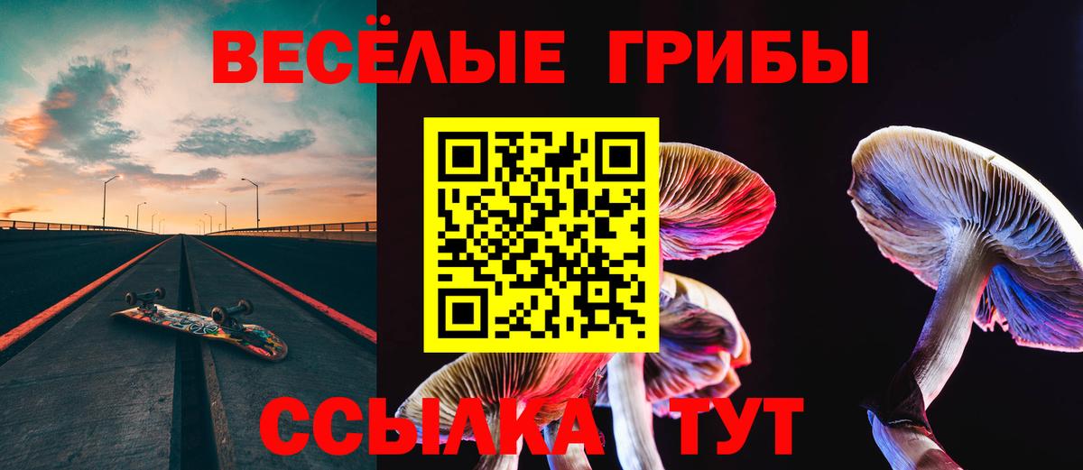 Псилоцибиновые грибы Cubensis  где купить наркоту  Усть-Джегута  Вход с VPN  Галлюциногенные грибы GOLDEN TEACHER 