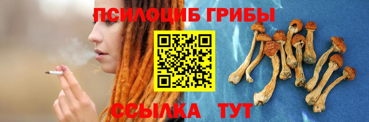Псилоцибиновые грибы прущие грибы Усть-Джегута