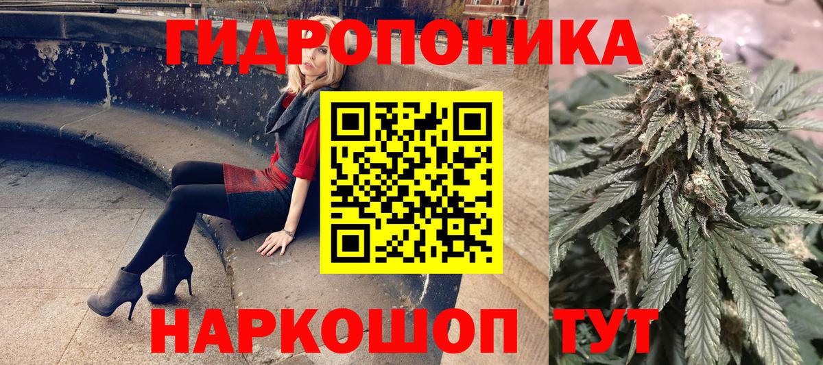 Канабис семена Усть-Джегута